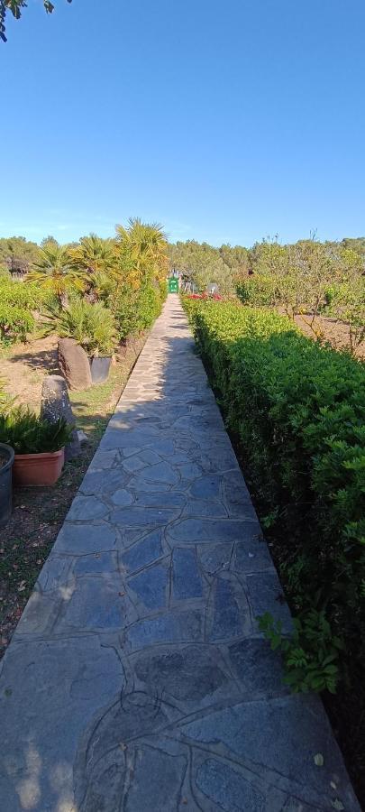 Orosei Re - Villa Aurora Rimedia A 50 Metri Dal Mare ภายนอก รูปภาพ